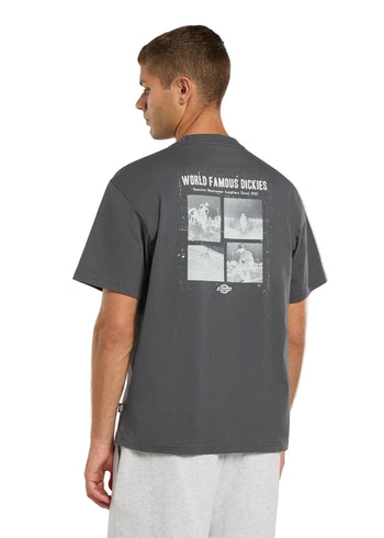 Dickies Wolfhurst Ss Tee Charcoal Grey Uomo - 3